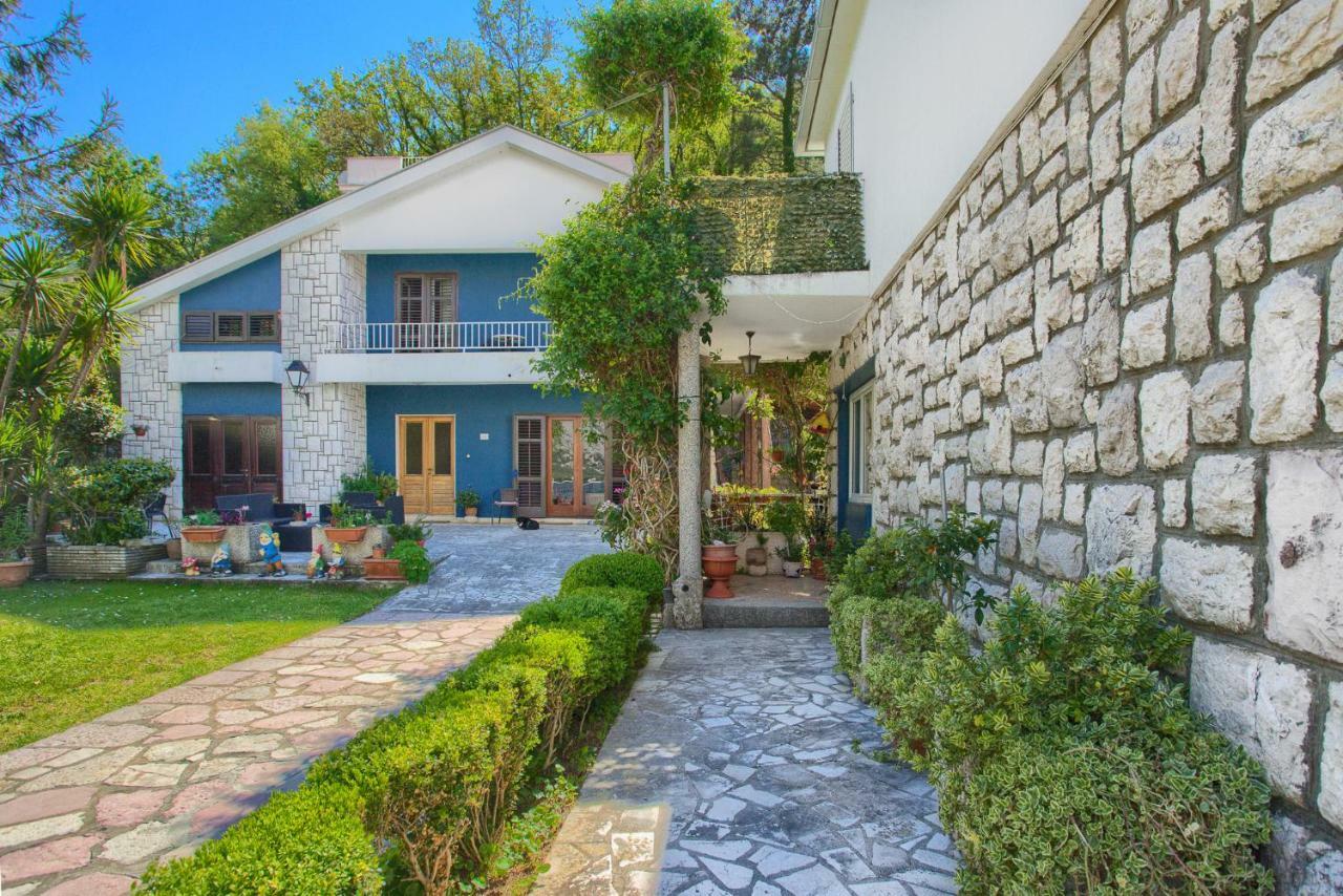 Apartments Ivanovic Kotor Extérieur photo