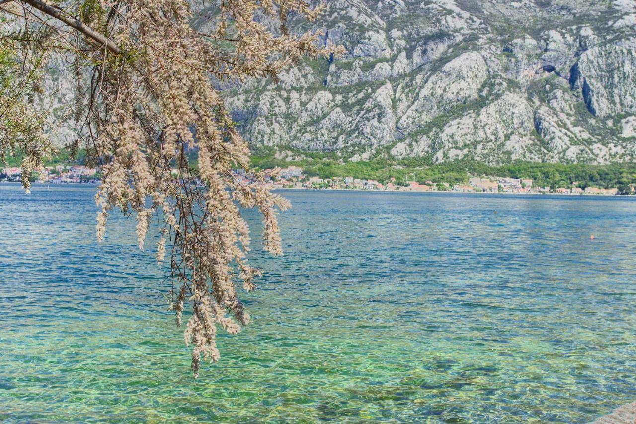 Apartments Ivanovic Kotor Extérieur photo